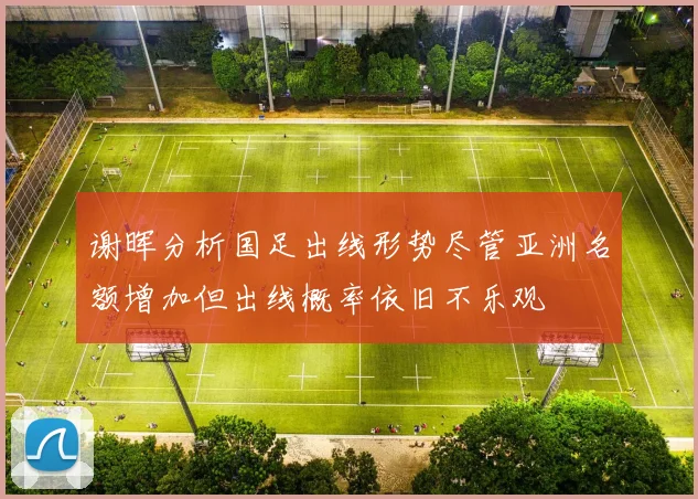 谢晖分析国足出线形势尽管亚洲名额增加但出线概率依旧不乐观